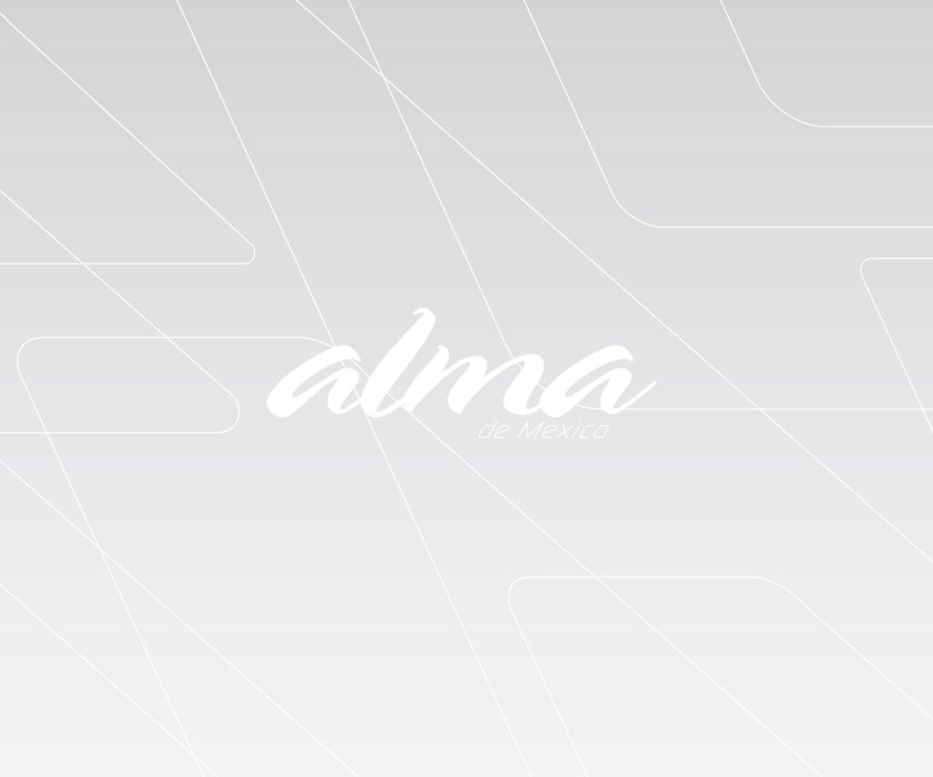 ALMA logo on a gray brand pattern