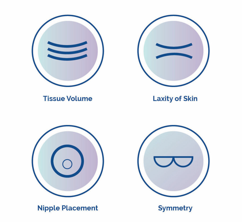 Mentor brochure iconography
